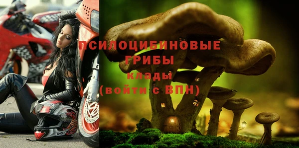 кокс Киренск