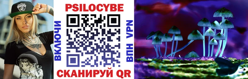 Купить закладки  Пятигорск  Галлюциногенные грибы прущие грибы